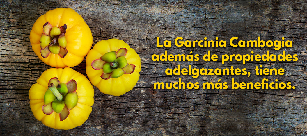 Beneficios de la garcinia cambogia